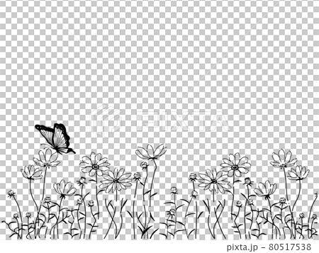コスモス畑と蝶のイラストのイラスト素材