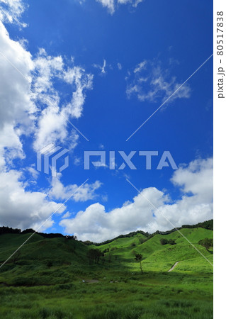 砥峰高原の夏 砥峰高原の夏 80517838