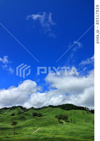 砥峰高原の夏 砥峰高原の夏 80517839