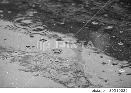 雨の日のアスファルトの地面と雨水の波紋 80519022