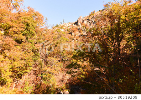 昇仙峡 紅葉 昇仙峡 紅葉 80519209