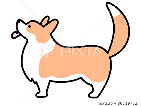 ウェルシュコーギー ペンブローク 尻尾あり 横向きのイラスト素材