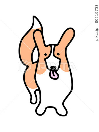 ウェルシュコーギー ペンブローク 尻尾あり 正面向きのイラスト素材