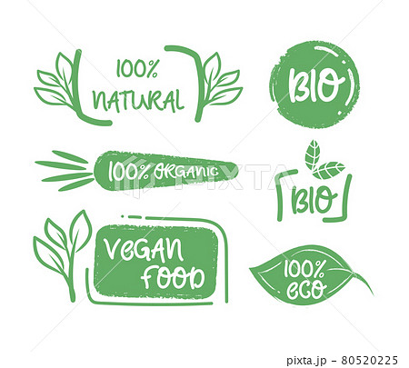 Organic food labels. Vegan label and healthy foods badges vector set 80520225