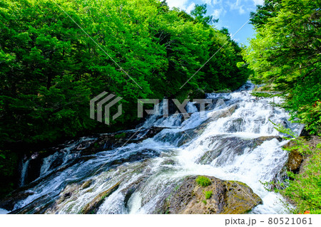 竜頭ノ滝 竜頭ノ滝 80521061