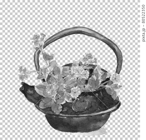 Ageratum monotone [ink painting style watercolor] white background material 80522350