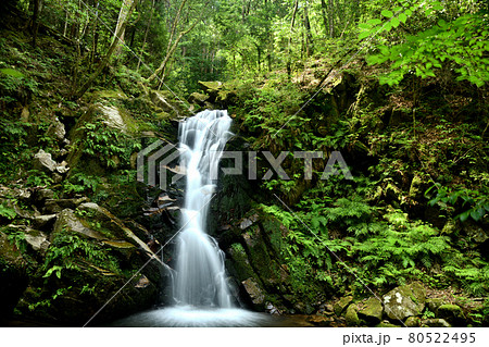 鶯の滝　【奈良県奈良市川上町】 80522495