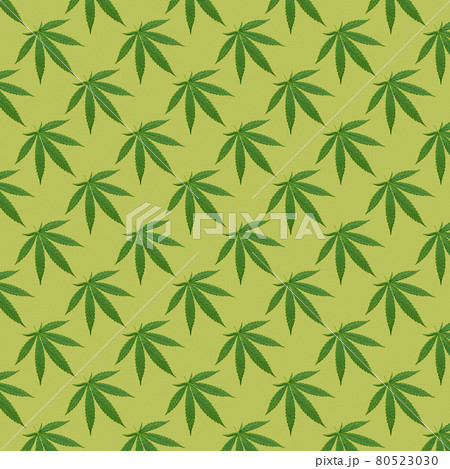 Hemp or cannabis leaves seamless pattern. Hemp or cannabis leaves seamless pattern. 80523030