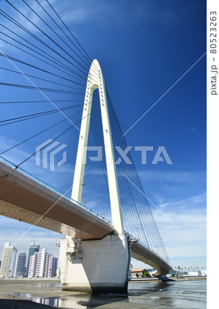 和歌山マリーナシティに架かるサンブリッジ　【和歌山県和歌山市】 80523263