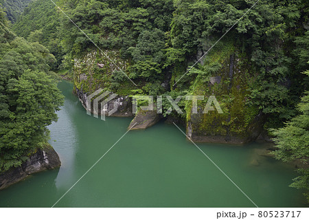 合川貯水池　熊野川流れ込み方面の眺め（和歌山県田辺市） 80523717