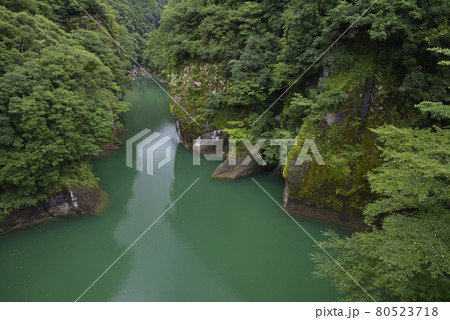 合川貯水池　熊野川流れ込み方面の眺め（和歌山県田辺市） 80523718