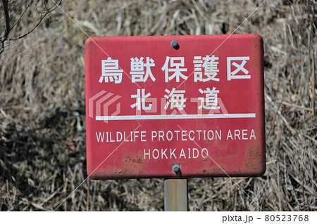 鳥獣保護区・北海道 80523768