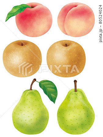 秋の果物　桃と和梨と洋梨 80524024