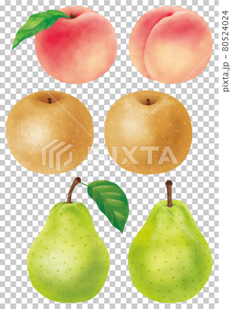 秋季水果桃、日本梨和梨 80524024
