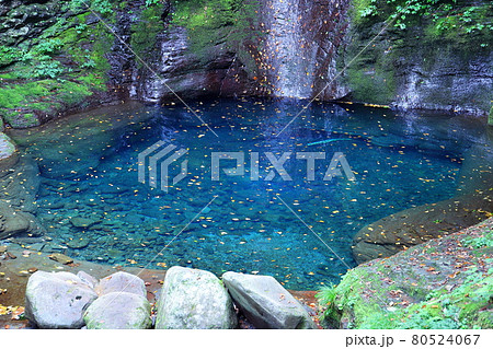 栃木県矢板市下伊佐野　青い滝壺の幻の滝おしらじの滝 80524067