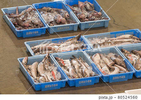 【魚市場 深海魚】 【魚市場 深海魚】 80524560