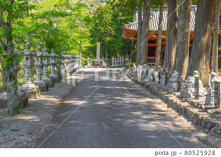 蓬莱山 普光寺(兵庫県加西市河内町)※作品コメント欄に撮影位置 蓬莱山 普光寺(兵庫県加西市河内町)※作品コメント欄に撮影位置 80525928