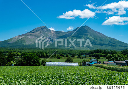 北海道 駒ヶ岳の夏の風景 北海道 駒ヶ岳の夏の風景 80525976