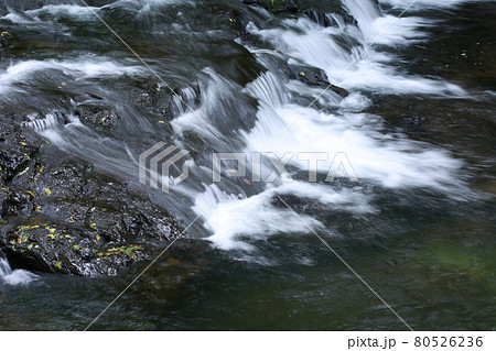 熊本県菊池川支流楮畑川（かごはたがわ）裏菊池渓谷 80526236