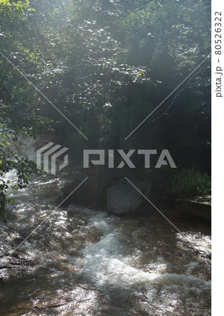 風景・陽光に照らされる清流 80526322