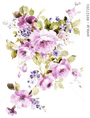 透明水彩 水彩画 花 80527201