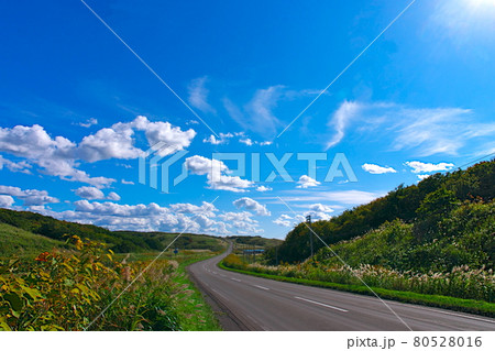 道北の風景 80528016