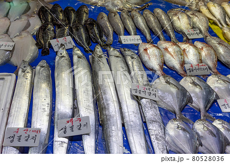 市場 魚市場 シーフード 80528036