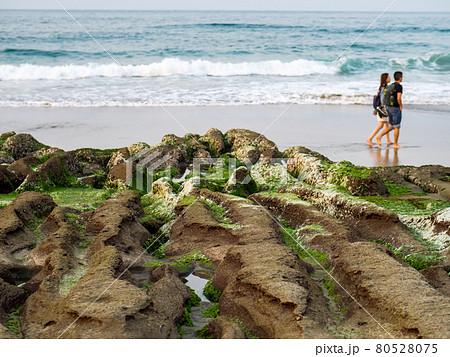 View of Laomei Green Reef (Stone troughs) at New Taipei City. Green algae on the sea groove (Sea erosion ditch) only in April and May. 80528075