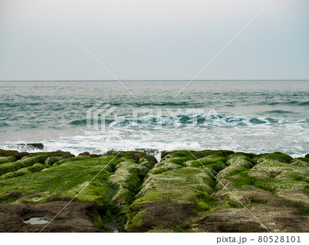 View of Laomei Green Reef (Stone troughs) at New Taipei City. Green algae on the sea groove (Sea erosion ditch) only in April and May. View of Laomei Green Reef (Stone troughs) at New Taipei City. Green algae on the sea groove (Sea erosion ditch) only in April and May. 80528101