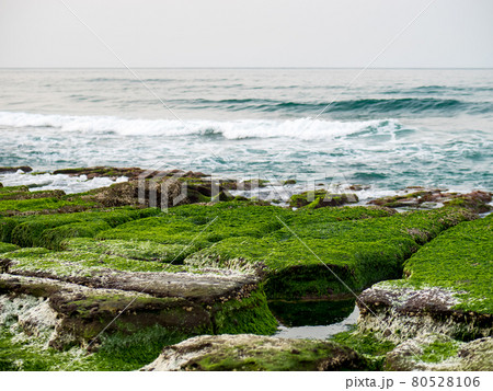 View of Laomei Green Reef (Stone troughs) at New Taipei City. Green algae on the sea groove (Sea erosion ditch) only in April and May. View of Laomei Green Reef (Stone troughs) at New Taipei City. Green algae on the sea groove (Sea erosion ditch) only in April and May. 80528106