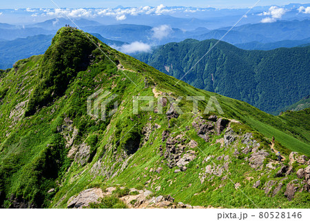 夏空と谷川岳（トマの耳） 80528146