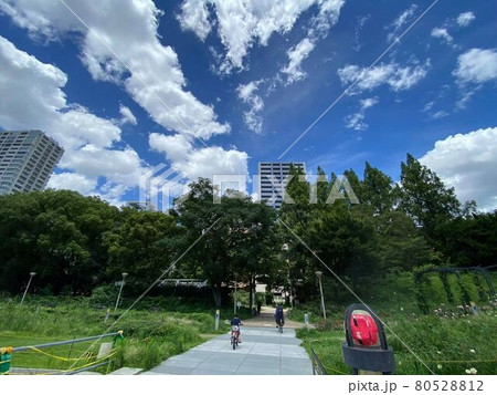 大阪都心靭公園の青空風景 大阪都心靭公園の青空風景 80528812