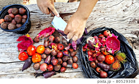 Fruits and vegetables are being prepared to compost organic fertilizer Fruits and vegetables are being prepared to compost organic fertilizer 80529308
