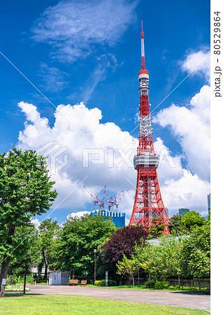 《東京都》夏空の東京・芝公園 80529864
