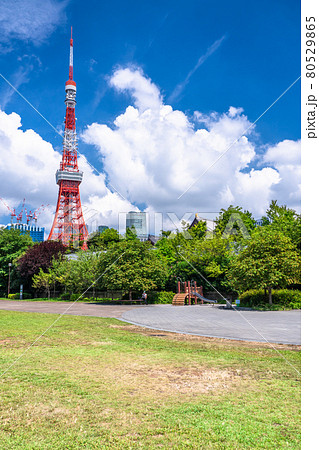 《東京都》夏空の東京・芝公園 80529865