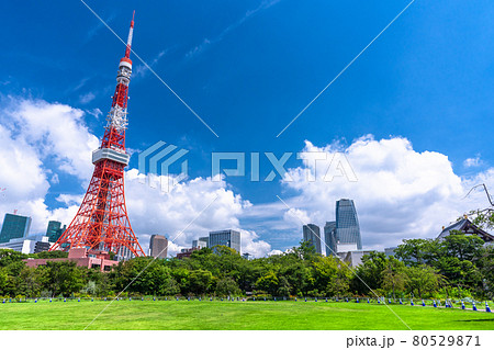 《東京都》夏空の東京・芝公園 《東京都》夏空の東京・芝公園 80529871