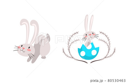 Funny Easter Bunny With Long Ears And Grey Coat のイラスト素材