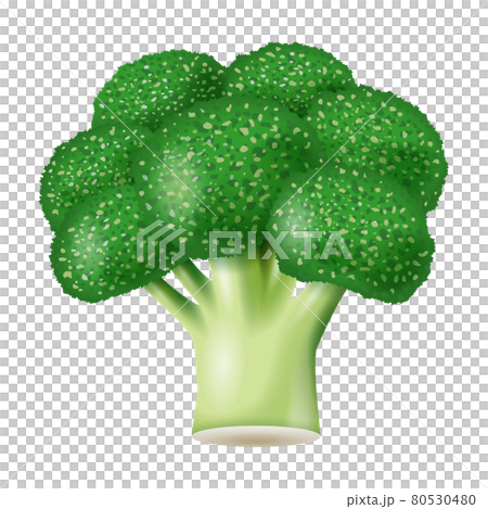 Broccoli illustration 80530480