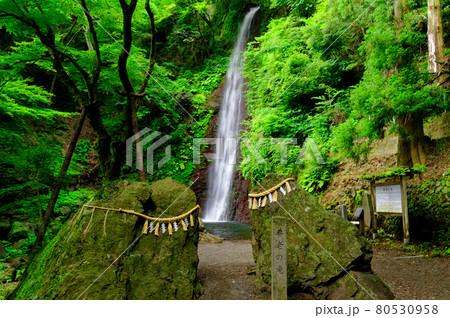養老の滝 80530958