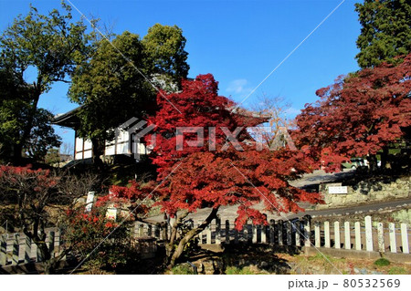 金戒光明寺・紅葉 金戒光明寺・紅葉 80532569