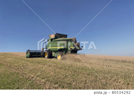 grain harvester harvesting wheat in fields of France 80534292