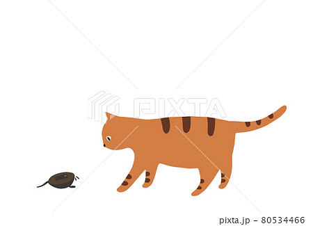 おもちゃを見つめる猫 トラ猫のイラスト素材
