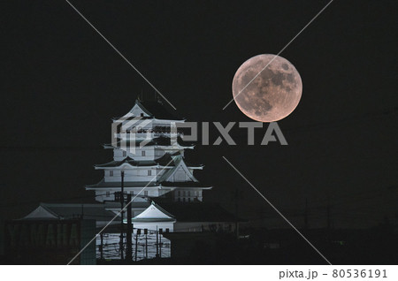 茨城県常総市 豊田城と7月の満月 茨城県常総市 豊田城と7月の満月 80536191