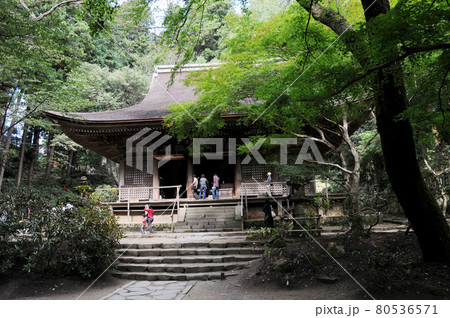 室生寺　本堂　奈良県宇陀市 80536571