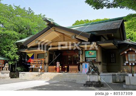 東京　渋谷区　東郷神社 80537309
