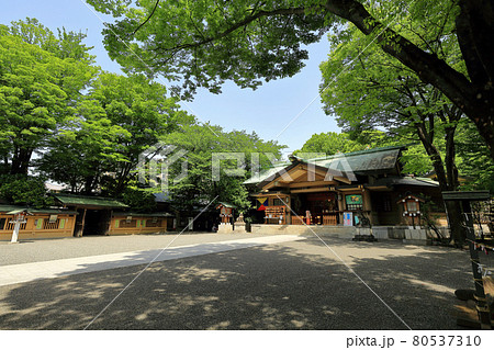 東京　渋谷区　東郷神社 80537310