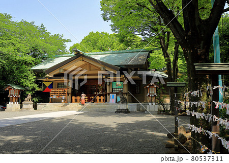 東京　渋谷区　東郷神社 80537311