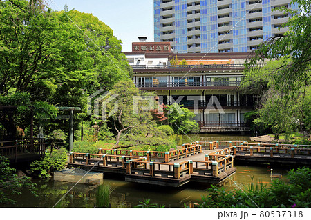 東京　渋谷区　東郷記念館 80537318