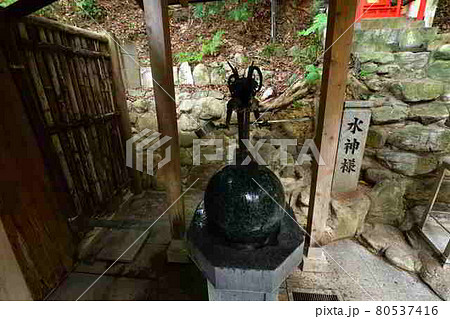 宮地嶽神社より 80537416