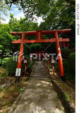 宮地嶽神社より 宮地嶽神社より 80537420